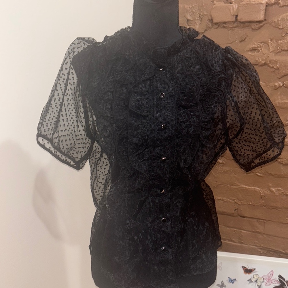Elegant Black polkadot, Sheer Women's Top size medium by blashe never worn - Picture 1 of 4